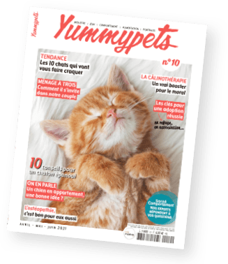 Magazine Yummypets