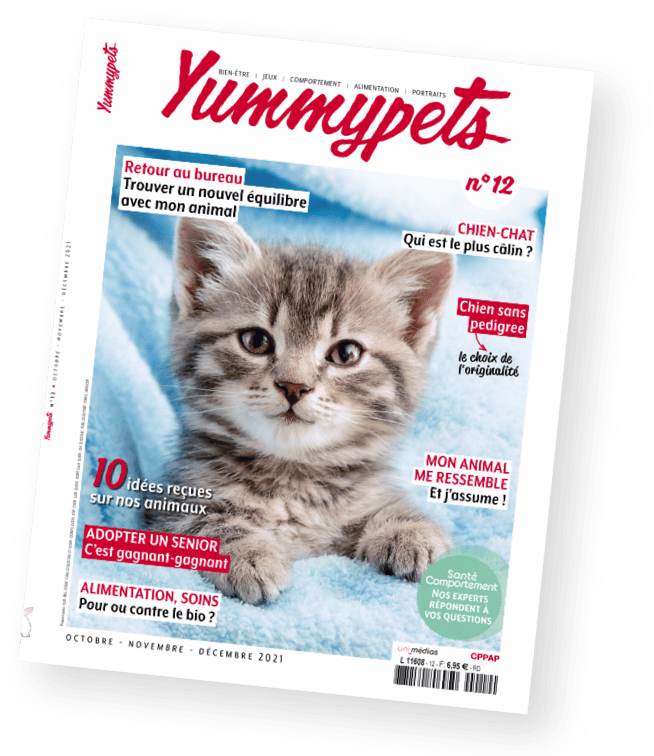 Magazine Yummypets
