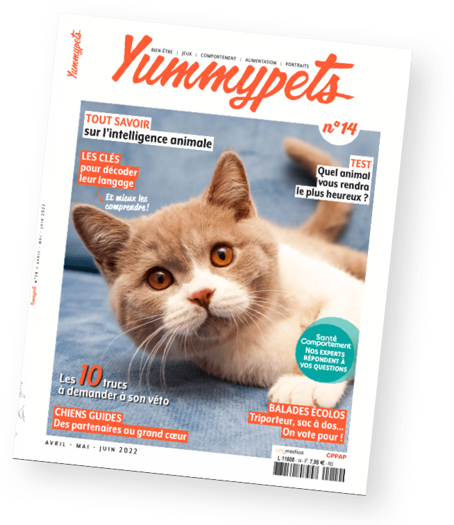 Magazine Yummypets