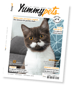 Magazine Yummypets