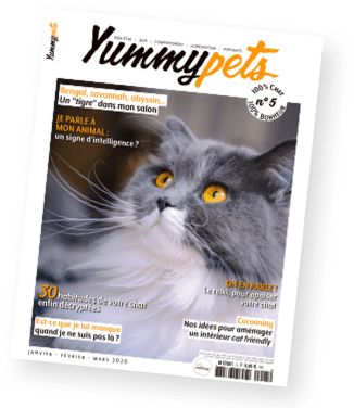Magazine Yummypets