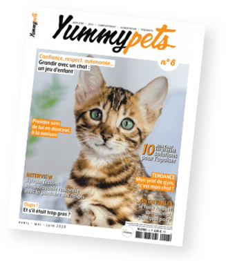 Magazine Yummypets