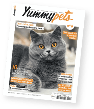 Magazine Yummypets