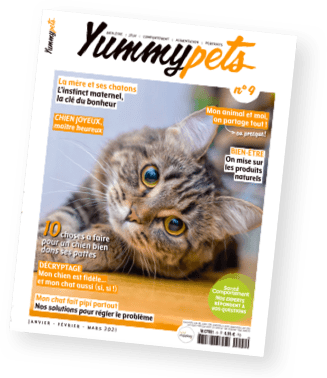 Magazine Yummypets